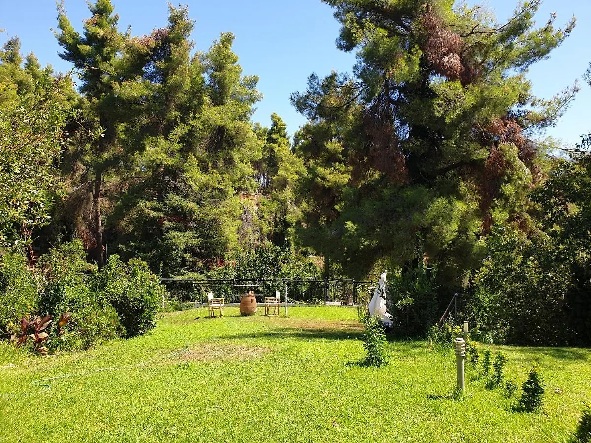 Sani Forest House Sani (Chalkidiki)