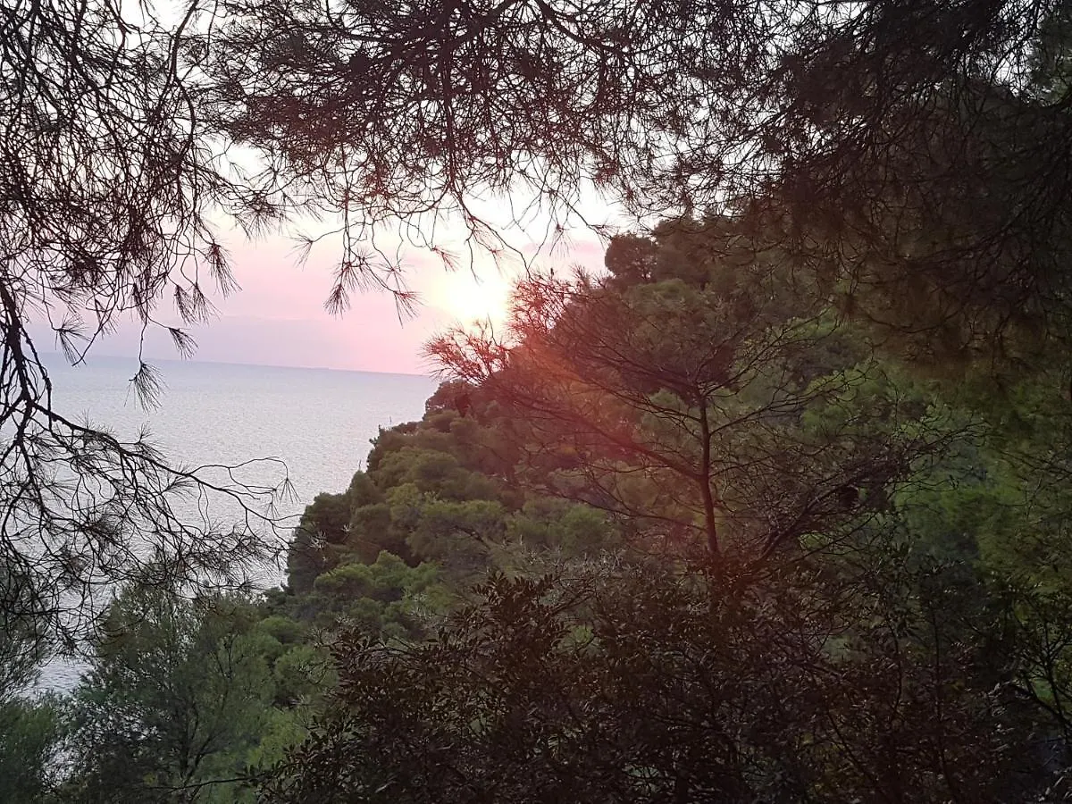 Holiday home Sani Forest House Greece